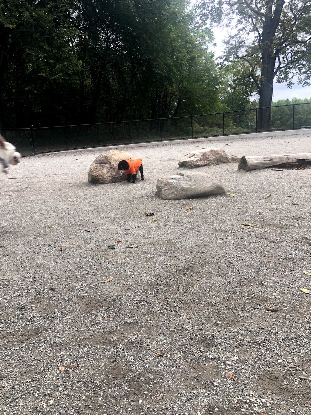 Pelham Bay Dog Run | Unnamed Road, Bronx, NY 10465 | Phone: (212) 639-9675