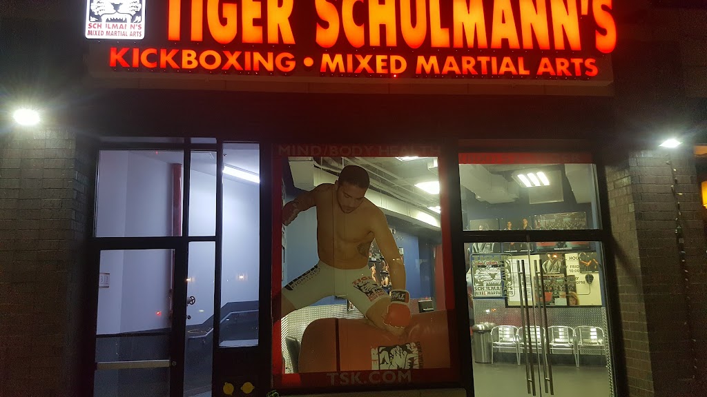 Tiger Schulmanns Martial Arts (Greenpoint, NY) | 211 McGuinness Blvd, Brooklyn, NY 11222 | Phone: (718) 301-0962