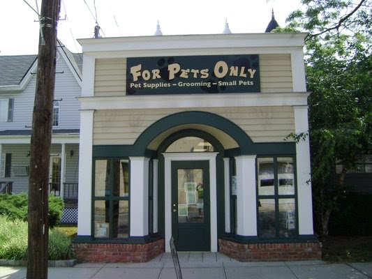 For Pets Only | 185A South St, Oyster Bay, NY 11771 | Phone: (516) 922-1526