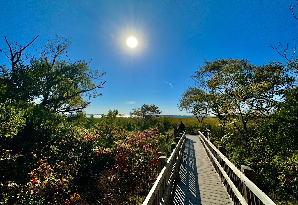 Jamaica Bay Wildlife Refuge | 175-10 Cross Bay Blvd, Queens, NY 11693 | Phone: (718) 318-4340