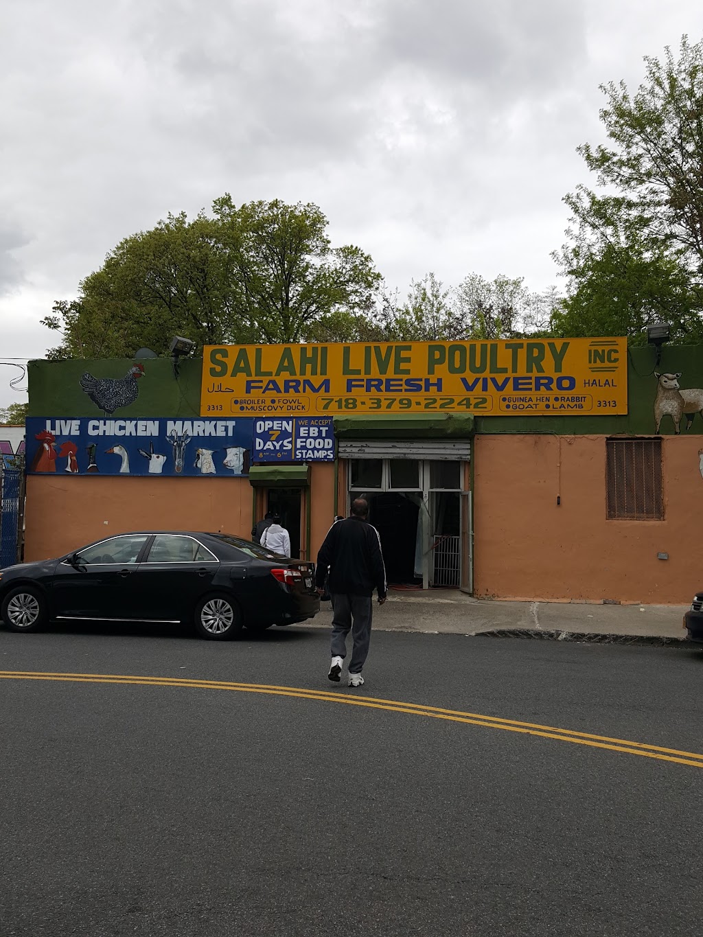 Salahi Live Poultry | 3313 Ely Ave, Bronx, NY 10469 | Phone: (718) 379-2242