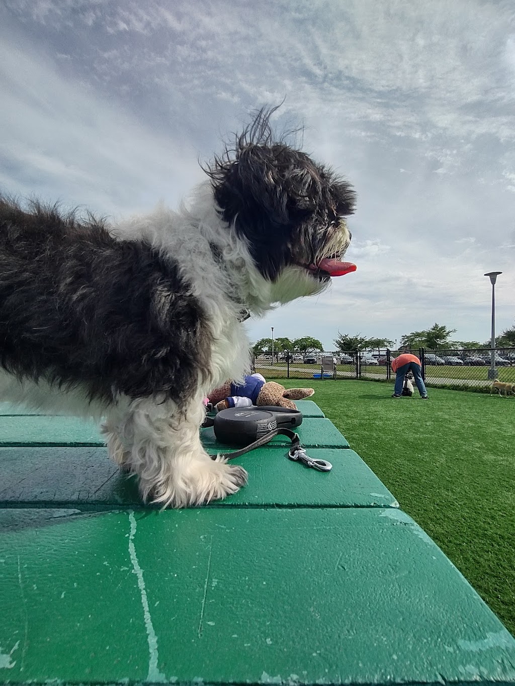 Wantagh Park Dog Run | Wantagh Park Dog Run, 1 King Rd, Wantagh, NY 11793 | Phone: (516) 571-7461