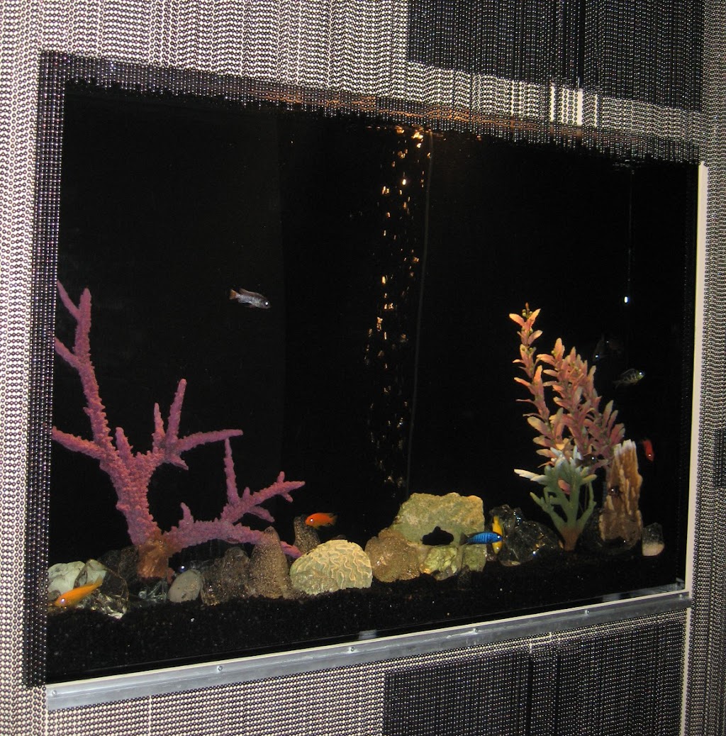 Aquarius Aquariums | 214 Riverside Dr #511, New York, NY 10025 | Phone: (212) 749-4970