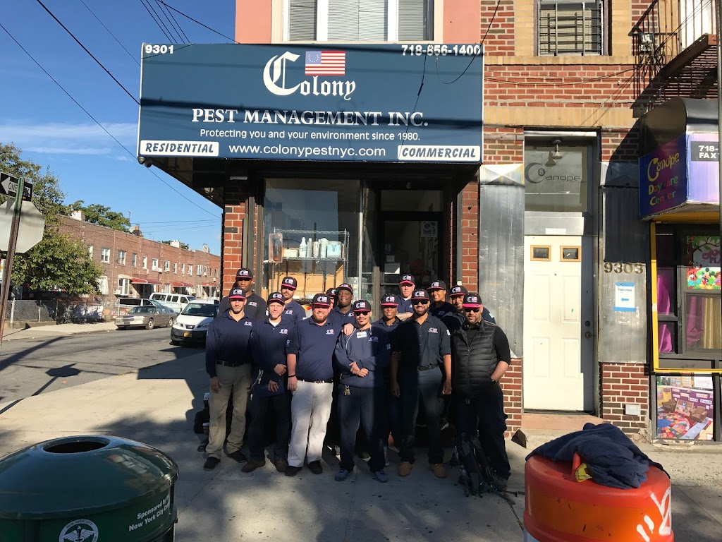 Colony Pest Management, Inc | 9301 Avenue L, Brooklyn, NY 11236 | Phone: (718) 856-1400