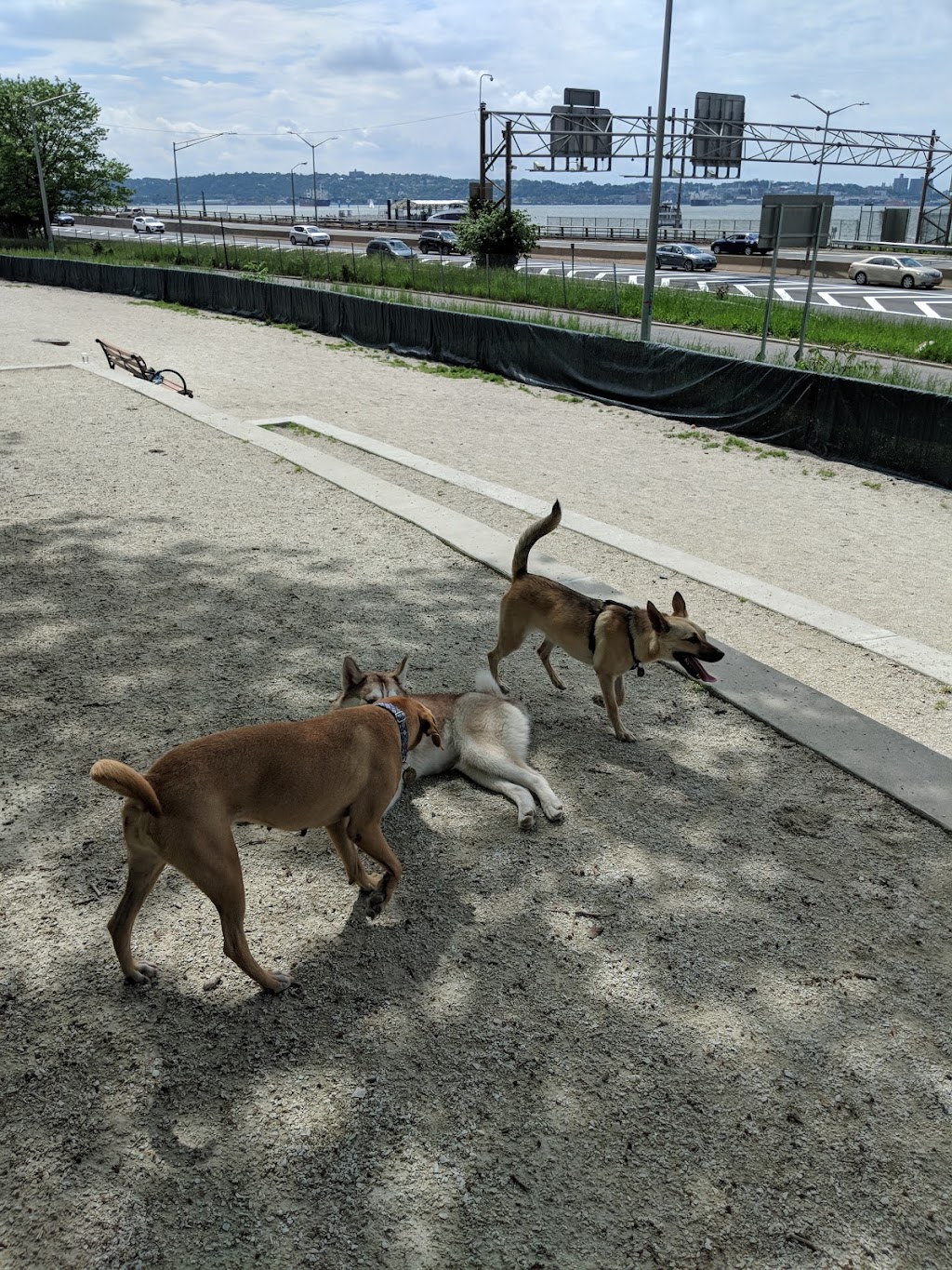 Owls Head Park Dog Run | 68th Street &, Shore Rd, Brooklyn, NY 11220 | Phone: (212) 639-9675