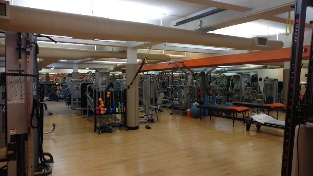 Excel Physical Therapy + Workout | 1482 Northern Blvd, Manhasset, NY 11030 | Phone: (516) 627-3009