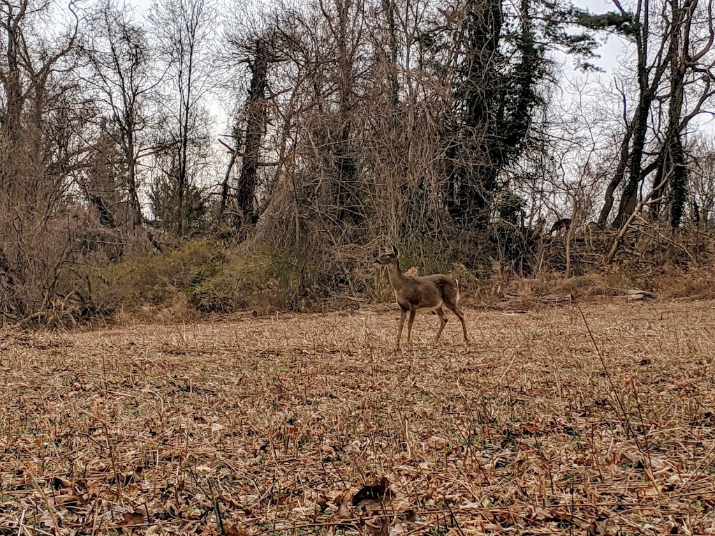 Target Rock National Wildlife Refuge | 12 Target Rock Road Huntington, Lloyd Harbor, NY 11743 | Phone: (631) 286-0485