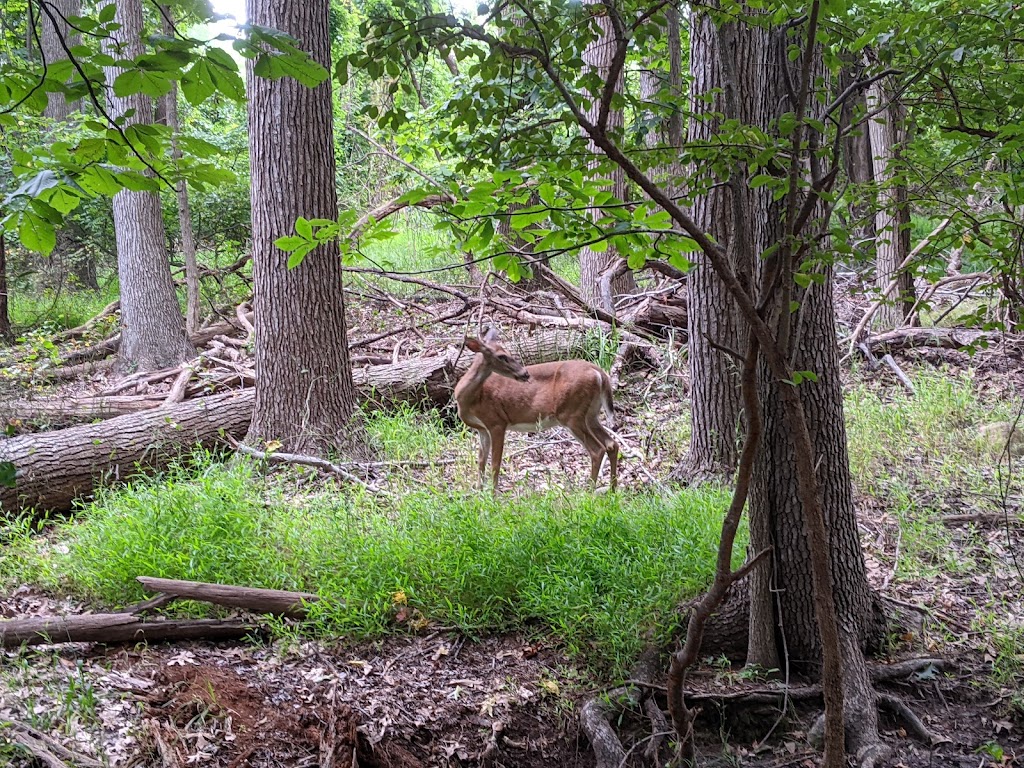 Marshlands Conservancy | 220 Boston Post Rd, Rye, NY 10580 | Phone: (914) 835-4466