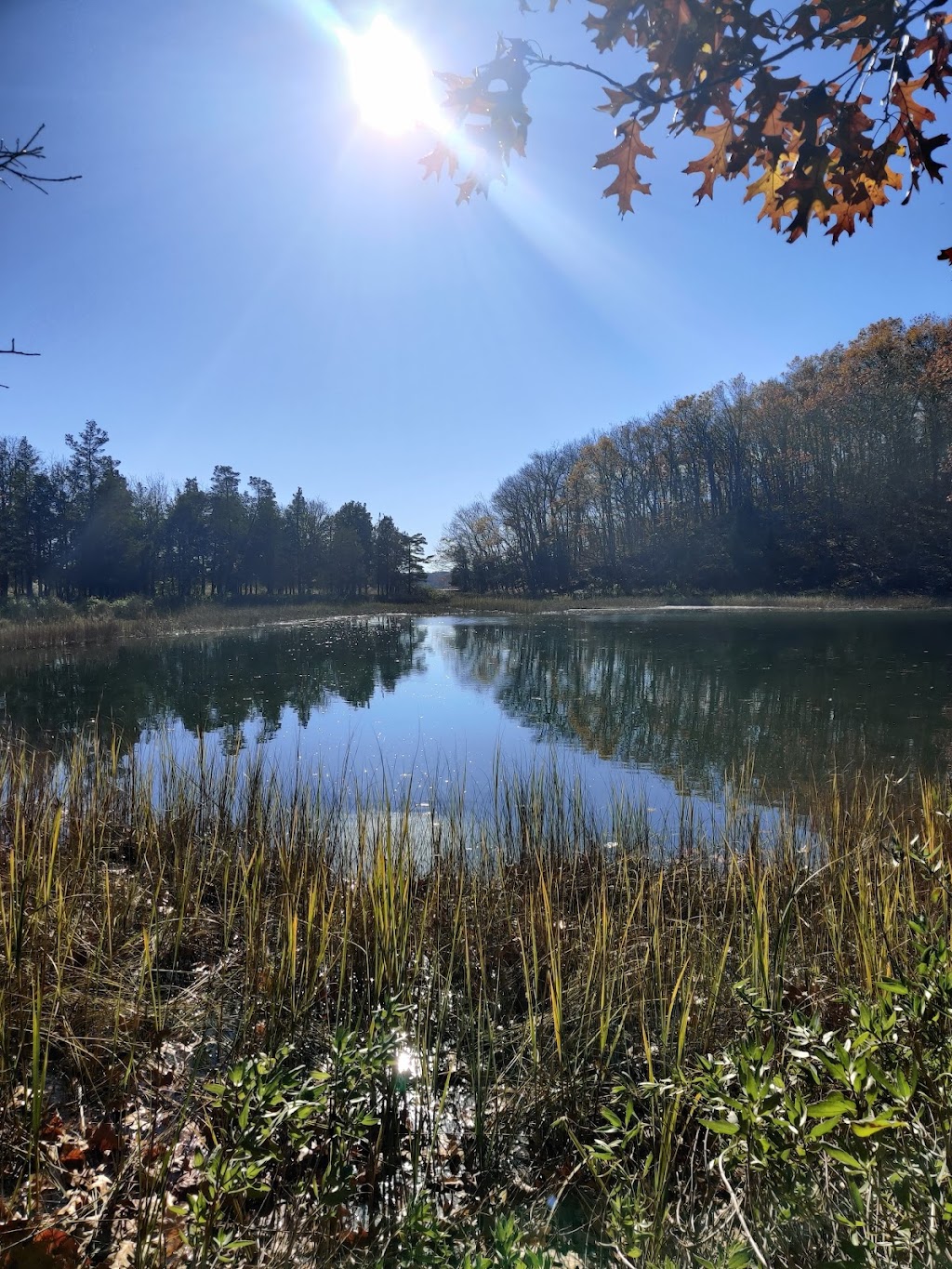 Target Rock National Wildlife Refuge | 12 Target Rock Road Huntington, Lloyd Harbor, NY 11743 | Phone: (631) 286-0485