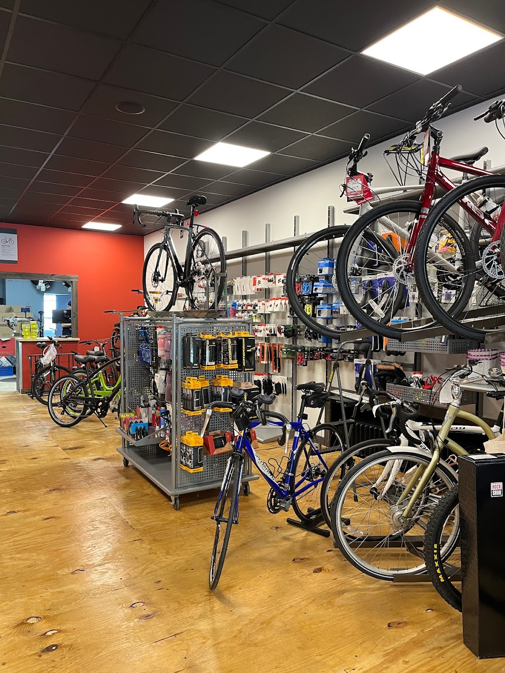 Dannys Cycles - Pelham | 113 Wolfs Ln, Village of Pelham, NY 10803 | Phone: (914) 738-3338