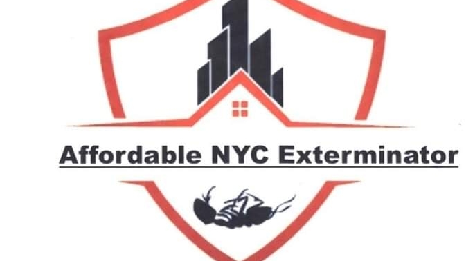 Affordable NYC Exterminators | 552 Fairview Ave, Queens, NY 11385 | Phone: (347) 594-3923