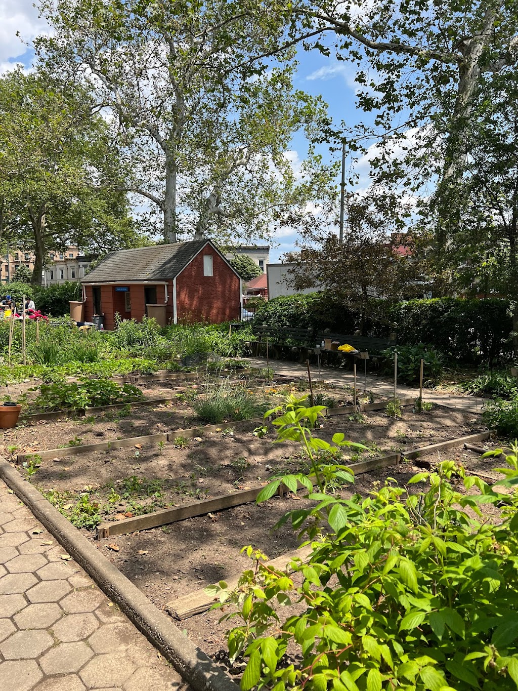 Highland Park Community Garden | 398 Jamaica Ave, Brooklyn, NY 11207 | Phone: (718) 235-4100