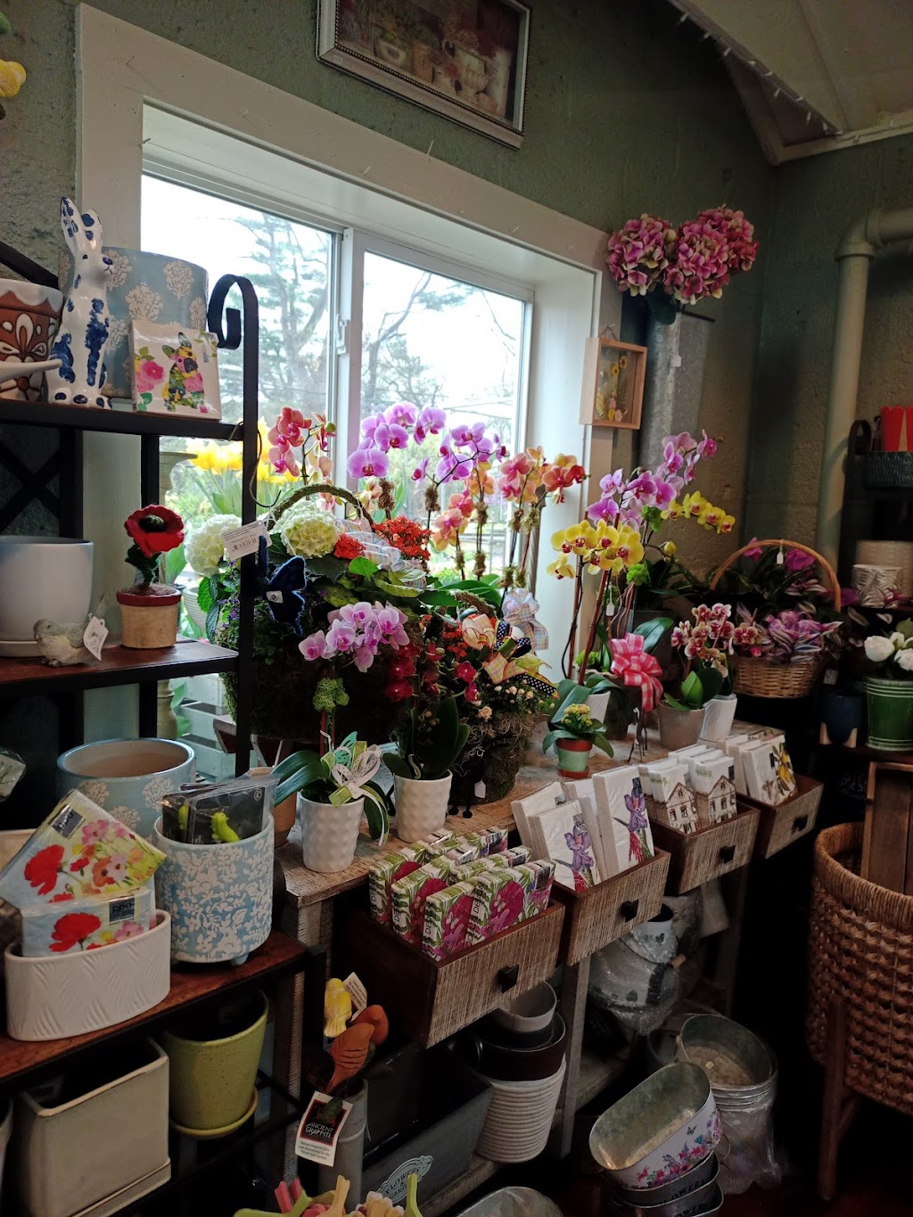 Carlson Florist | 625 Dobbs Ferry Rd, White Plains, NY 10607 | Phone: (914) 684-6084