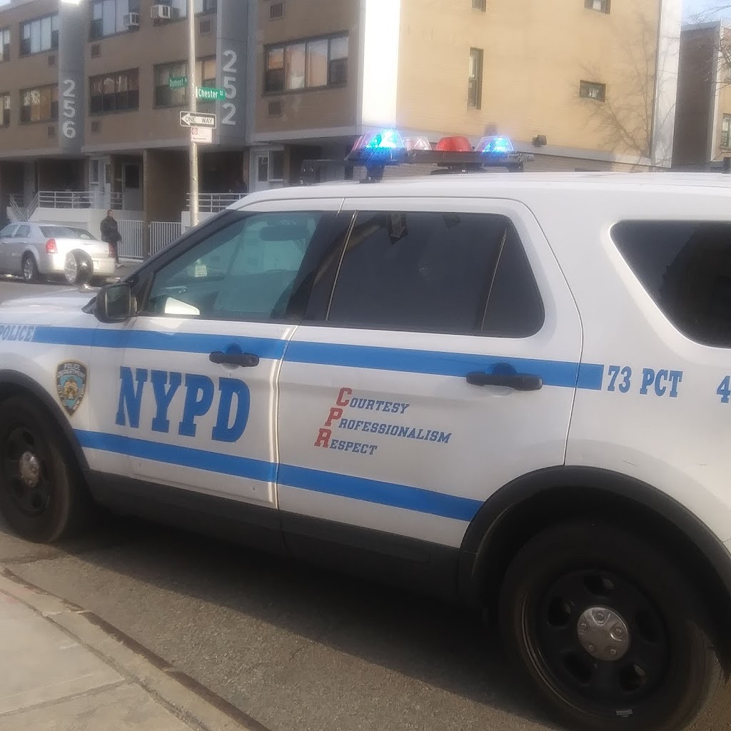 New York City Police Department - 67th Precinct | 2820 Snyder Ave, Brooklyn, NY 11226 | Phone: (718) 287-3211