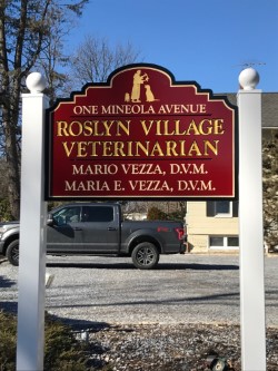 Roslyn Village Veterinarian | 1 Mineola Ave, Roslyn, NY 11576 | Phone: (516) 484-6068