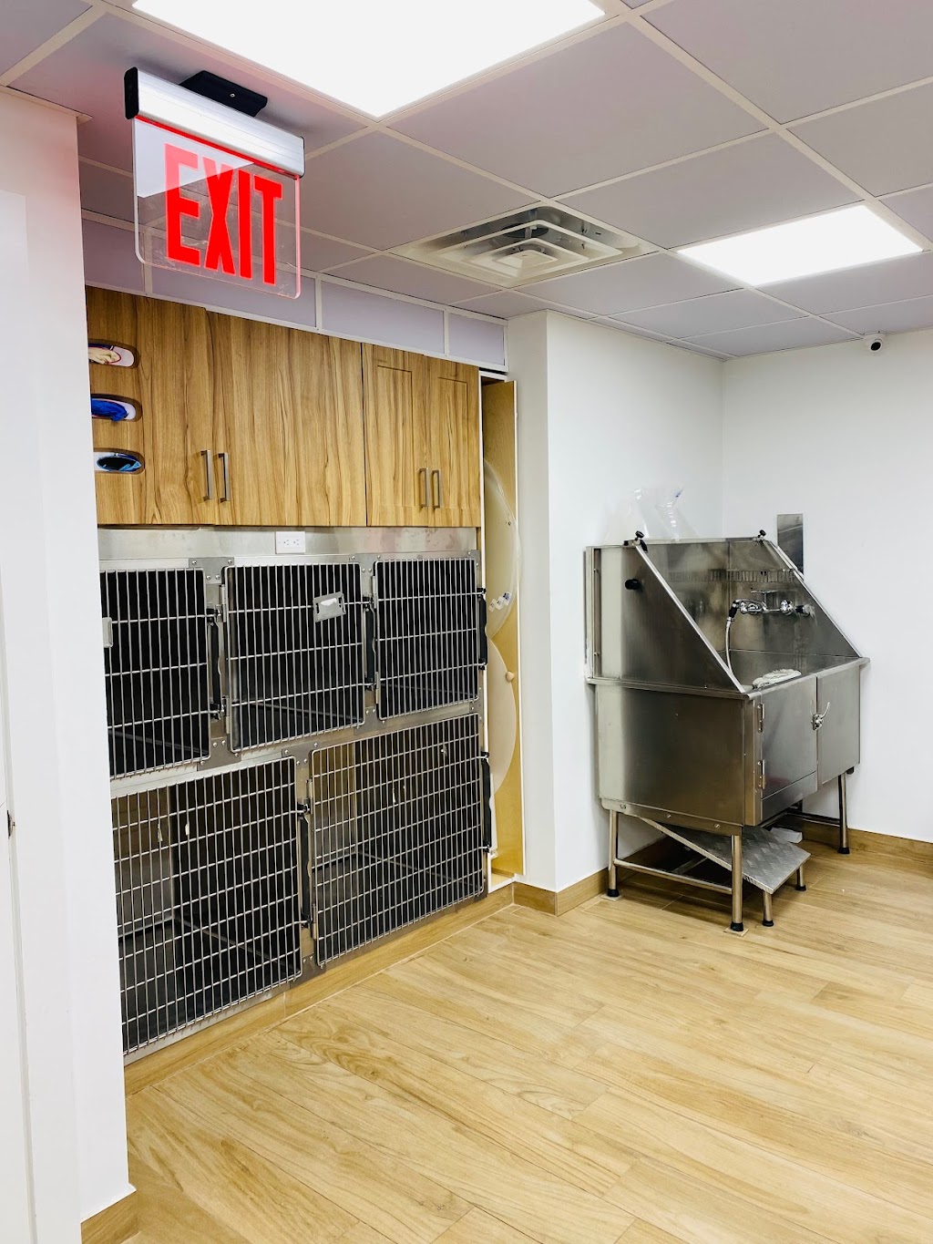 Community Veterinary Medicine | 3619 Broadway, New York, NY 10031 | Phone: (646) 912-9513