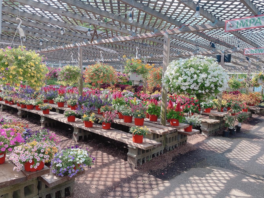 Cherry Lawn Garden Center | 815 Weaver St, New Rochelle, NY 10804 | Phone: (914) 740-3600