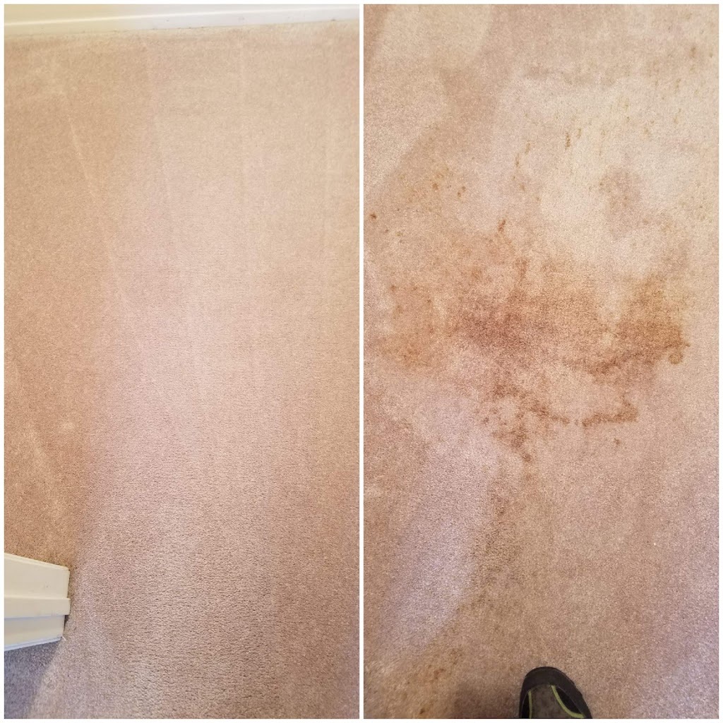 Tri-County Carpet Cleaning 11756 | 55 Hawk Ln, Levittown, NY 11756 | Phone: (516) 644-1762