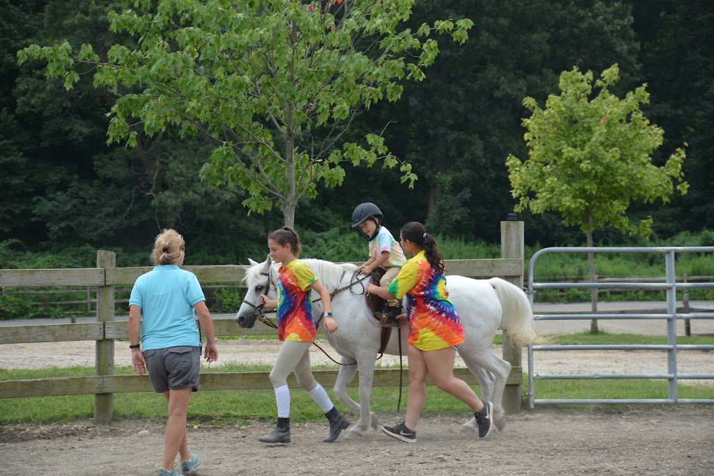 Thomas School Of Horsemanship Summer Day Camp & Riding School | 250 Round Swamp Rd, Melville, NY 11747 | Phone: (631) 692-6840