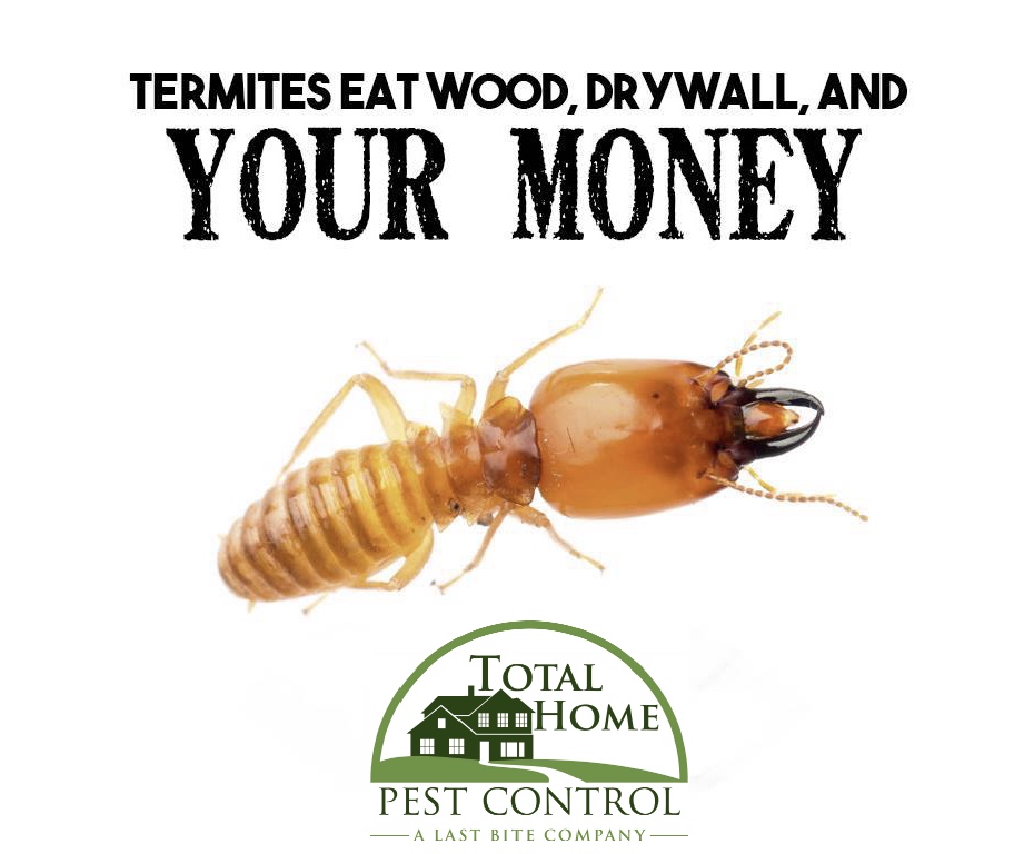 Total Home Pest Control | 37 Center Ave, Atlantic Highlands, NJ 07716 | Phone: (732) 938-3232