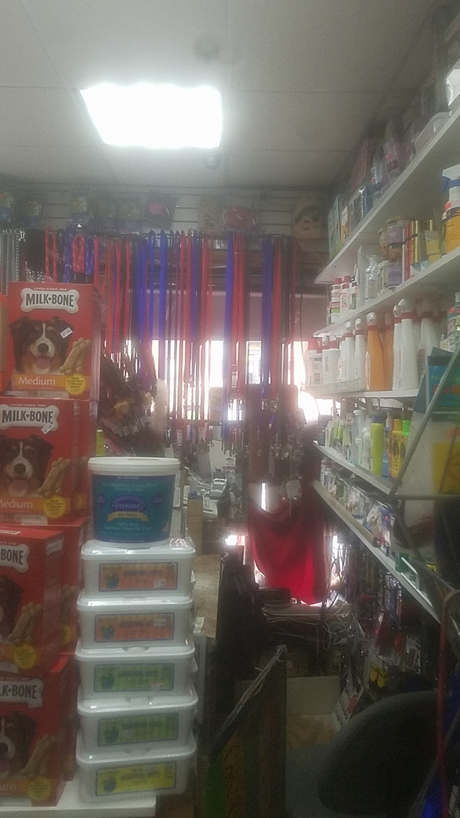 Lucky Pet NY Corp. | 240 Prospect Park West # A, Brooklyn, NY 11215 | Phone: (718) 369-4268