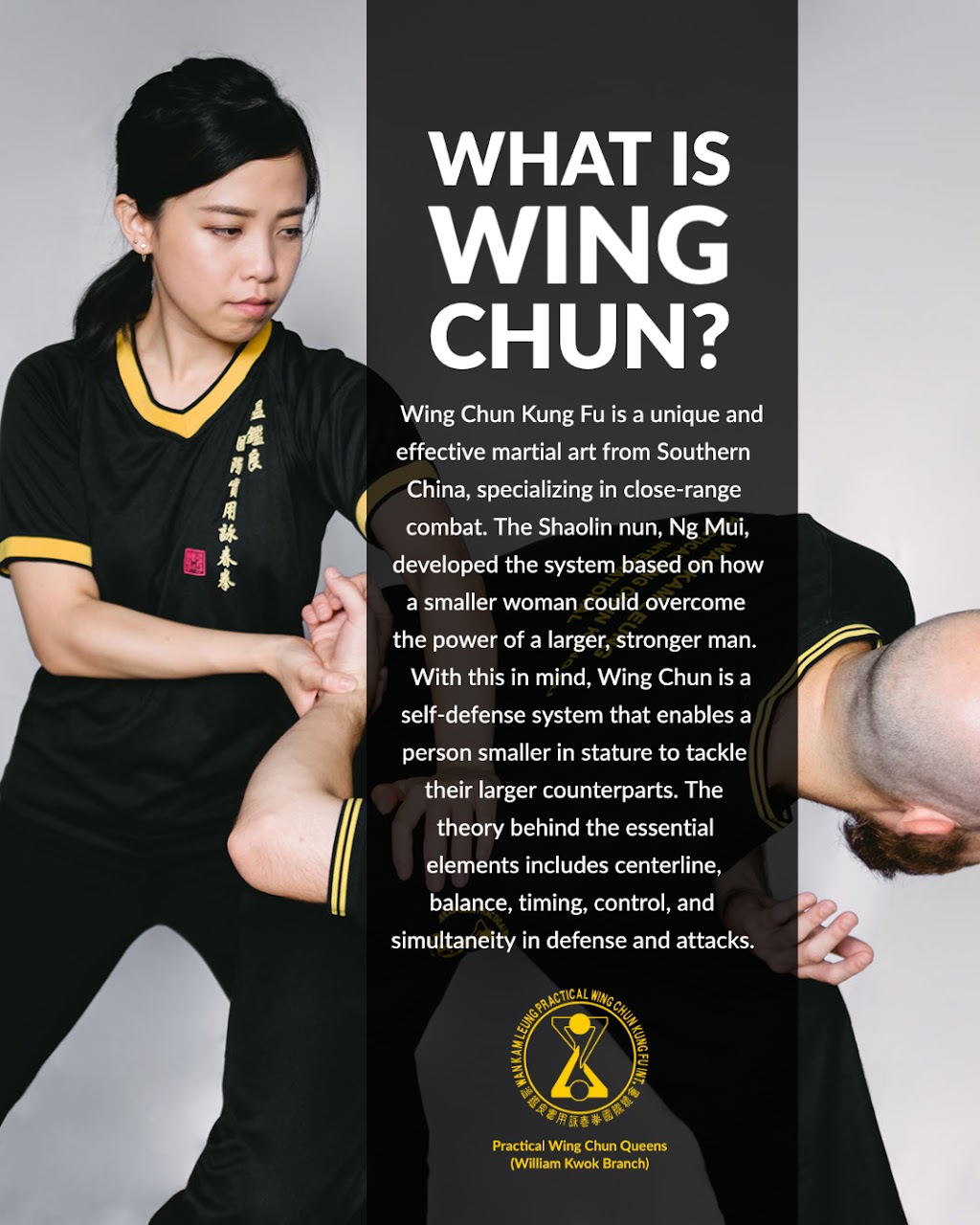 Practical Wing Chun Queens | 210-23 Horace Harding Expy, Queens, NY 11364 | Phone: (718) 635-0617