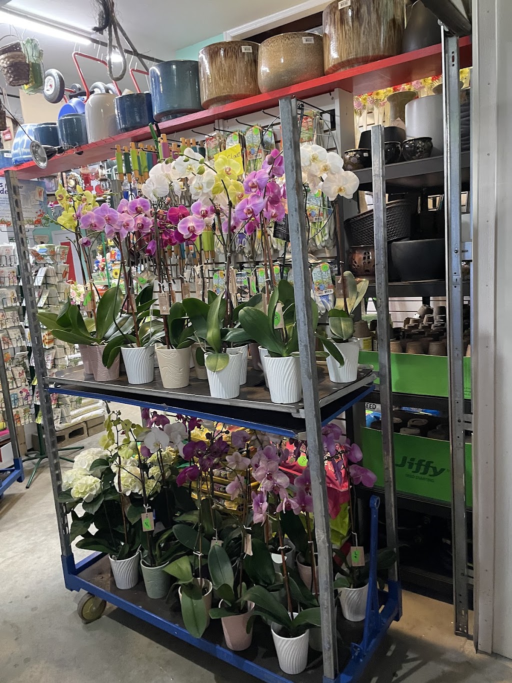 DErcole Farms & Garden Center | 489 Tappan Rd, Northvale, NJ 07647 | Phone: (201) 768-0495