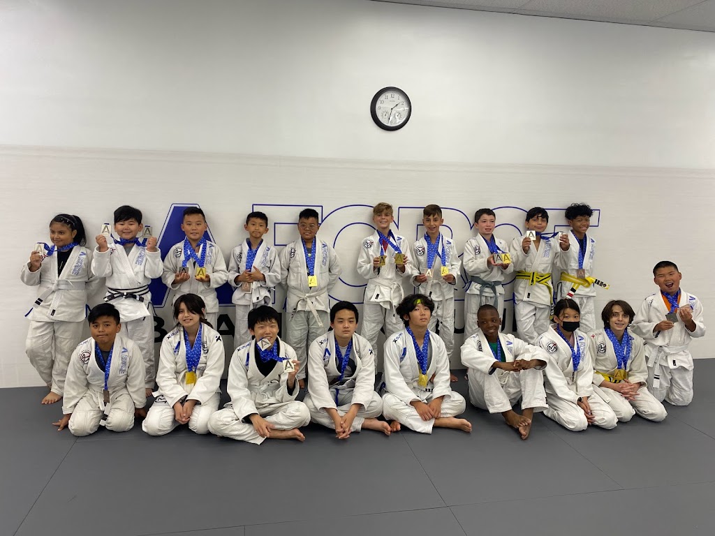 A-Force Brazilian Jiu Jitsu Academy Syosset | 235 Robbins Ln #2, Syosset, NY 11791 | Phone: (516) 344-7812