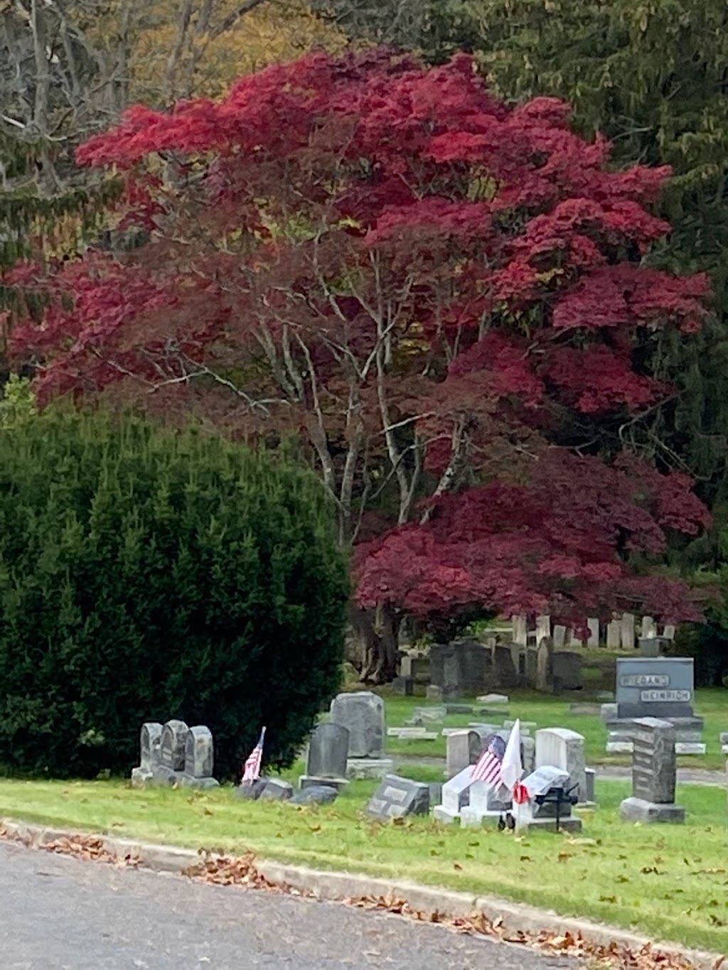 White Plains Rural Cemetery | 167 N Broadway, White Plains, NY 10603 | Phone: (914) 949-0072