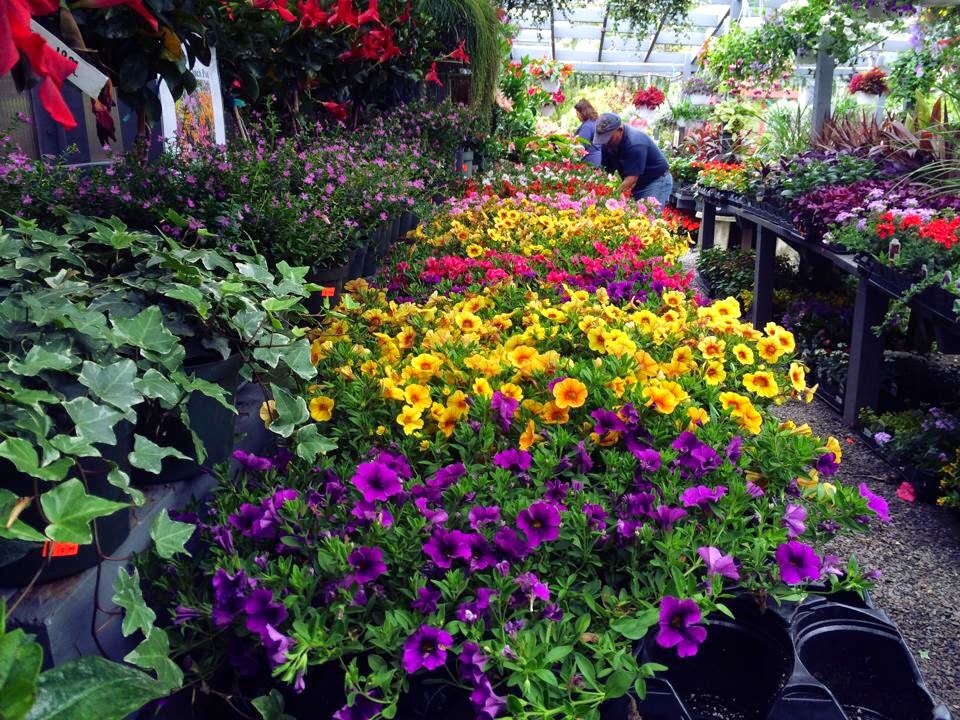 North Shore Garden Center | 53 Avenue A, Port Washington, NY 11050 | Phone: (516) 883-8066