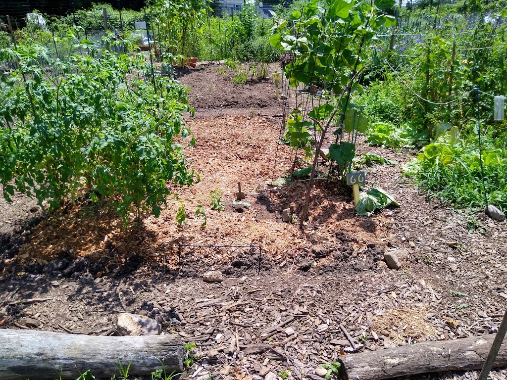 Ward Acres Community Garden | 300 Broadfield Rd, New Rochelle, NY 10804 | Phone: (917) 613-5720