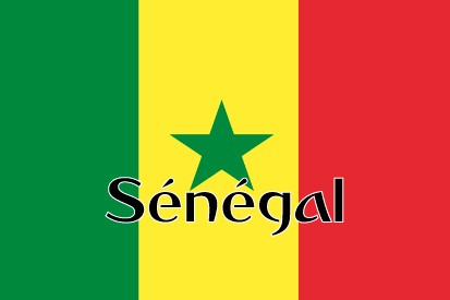 Consulate General of Senegal in New York | 179 E 116th St #2, New York, NY 10029 | Phone: (646) 918-6463