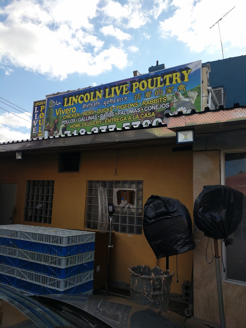 Lincoln Live Poultry | 34 Lincoln Ave, Brooklyn, NY 11208 | Phone: (718) 277-5700