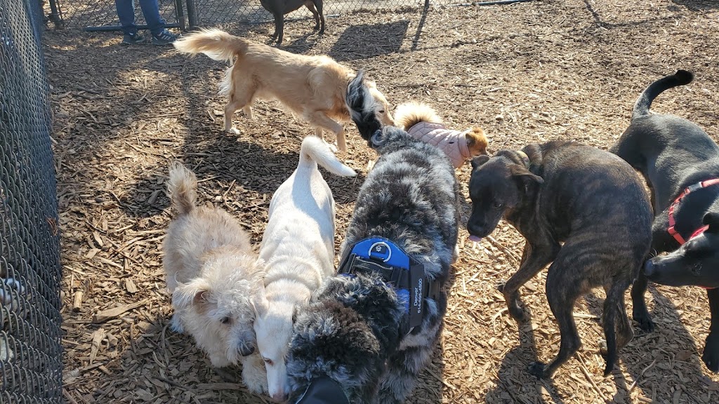 Rumbrook Park East Dog Park | 850 Dobbs Ferry Rd, White Plains, NY 10607 | Phone: (914) 693-8985