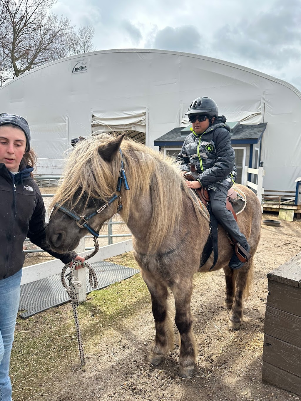 Bethpage Equestrian Center | 499 Winding Rd, Old Bethpage, NY 11804 | Phone: (516) 845-1000