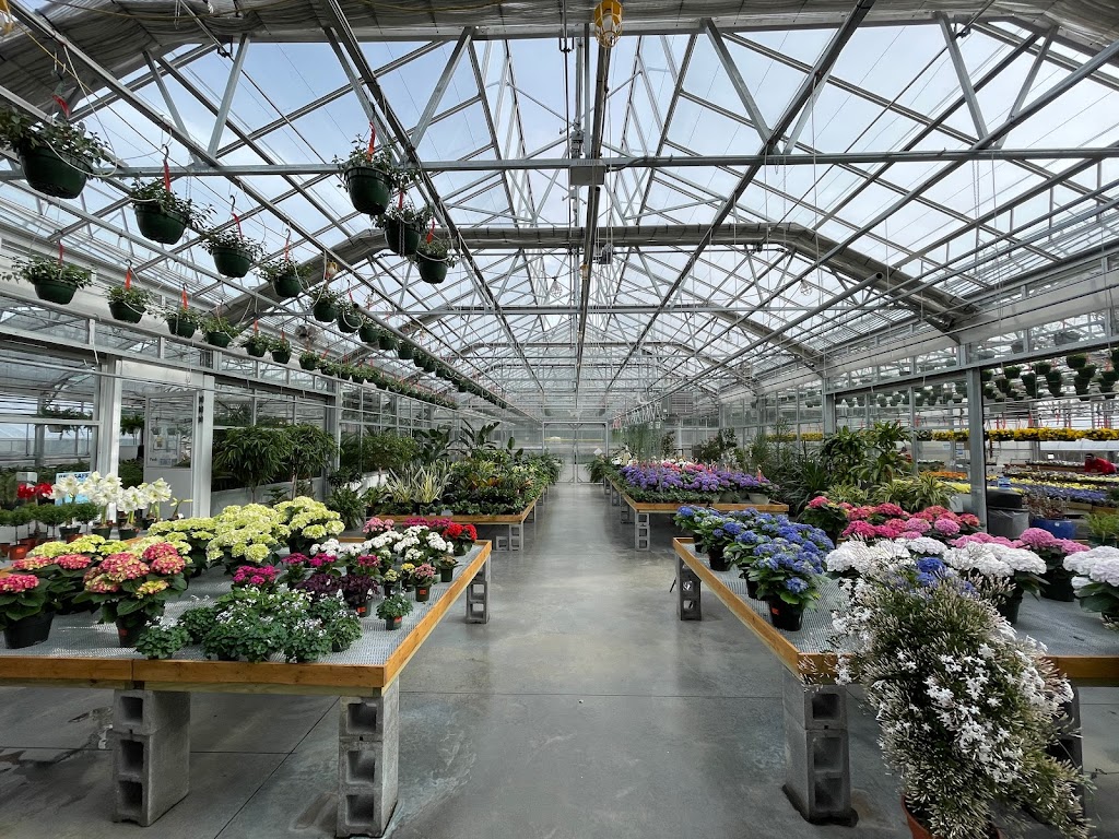 Sam Bridge Nursery & Greenhouses | 437 North Street, Greenwich, CT 06830 | Phone: (203) 869-3418