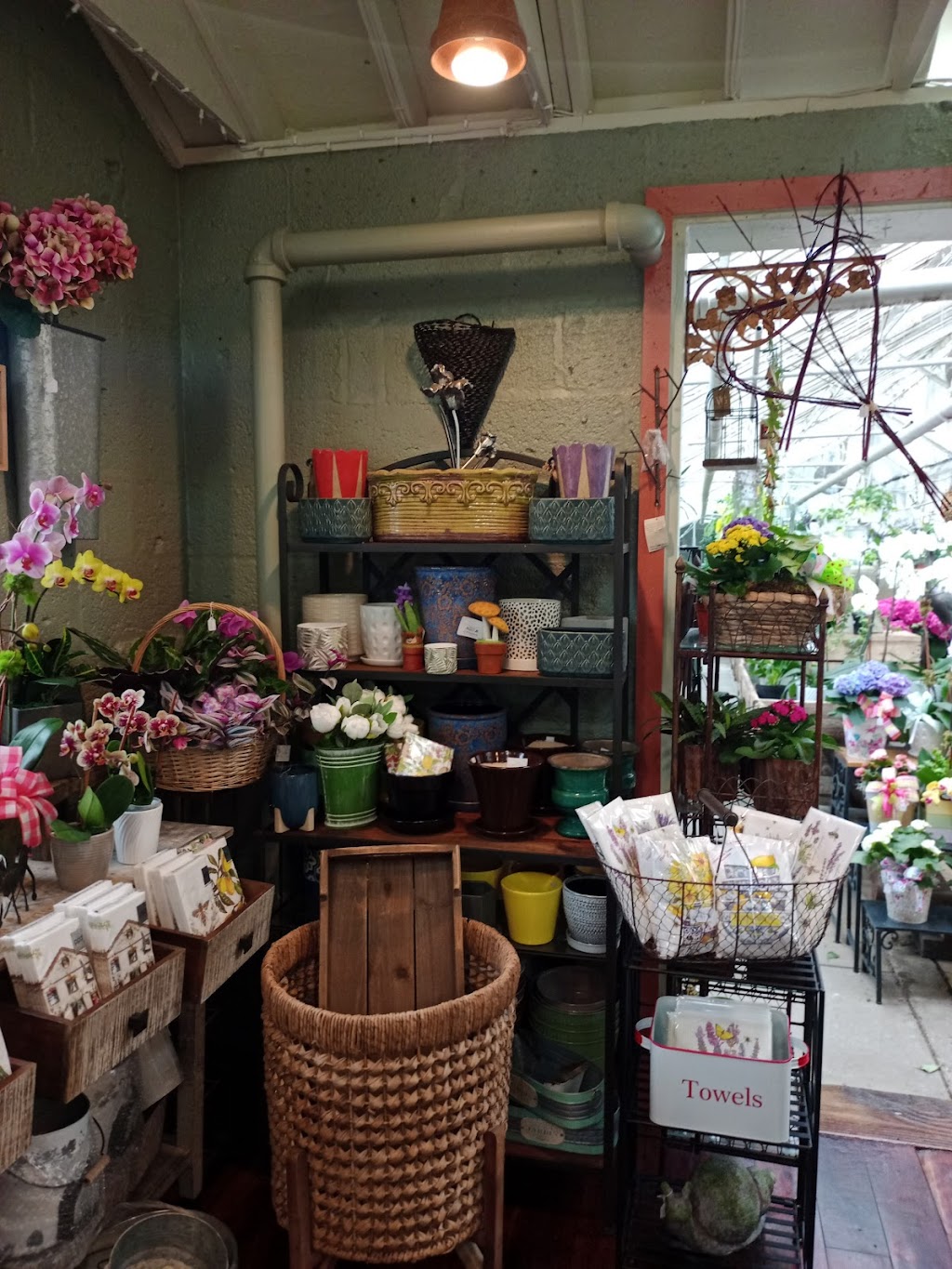 Carlson Florist | 625 Dobbs Ferry Rd, White Plains, NY 10607 | Phone: (914) 684-6084