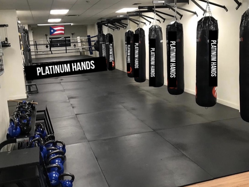 Platinum Boxing Studio | 69-32 Myrtle Ave, Queens, NY 11385 | Phone: (347) 933-4488