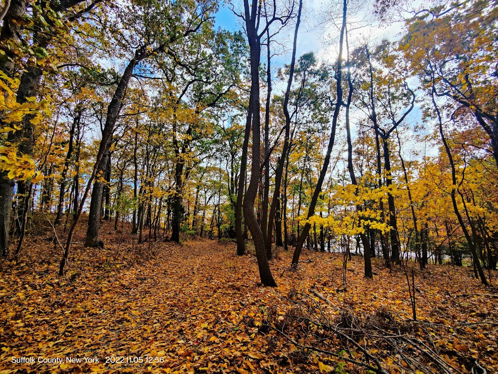 Target Rock National Wildlife Refuge | 12 Target Rock Road Huntington, Lloyd Harbor, NY 11743 | Phone: (631) 286-0485