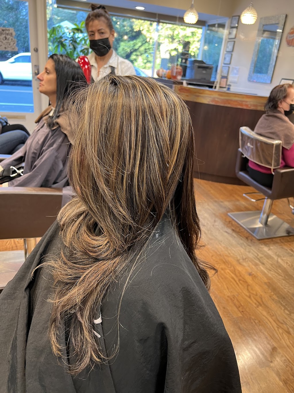 Delight Hair Salon | 372 Tulip Ave, Floral Park, NY 11001 | Phone: (516) 233-2039