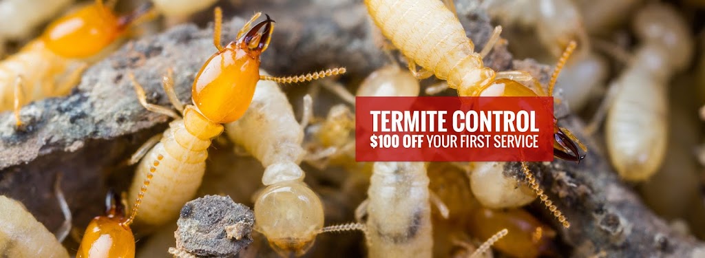 Tapout Termite & Pest Control | 100 Blanch Ave, Closter, NJ 07624 | Phone: (201) 736-4802