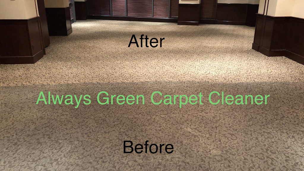 Always Green Carpet Cleaner NYC | 73-25 69th Pl, Queens, NY 11385 | Phone: (347) 897-9939