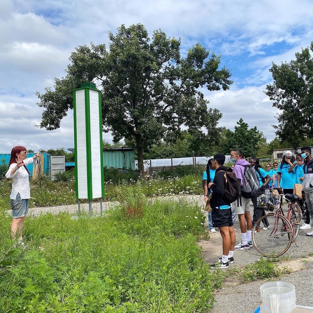 Swale Food Forest on Governors Island | 652 Craig Rd S, New York, NY 10004 | Phone: (718) 674-4872