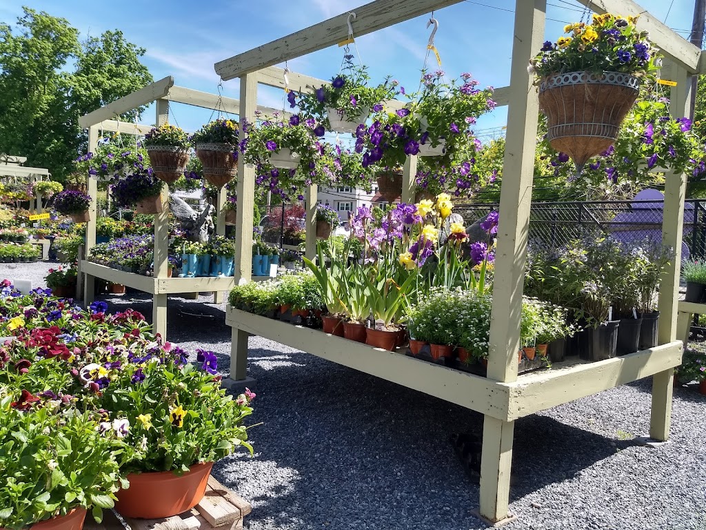 Oakwood Road Nursery | 223 Oakwood Rd, Huntington, NY 11743 | Phone: (631) 673-0555