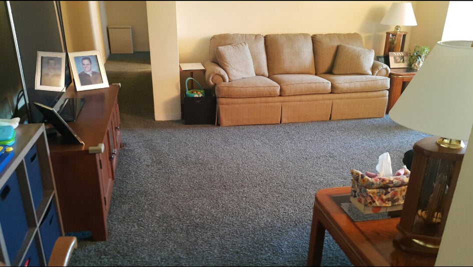 Bronx Carpet Cleaner | 4330 Bullard Ave, Bronx, NY 10466 | Phone: (718) 569-0896