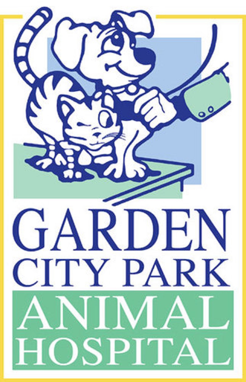 Garden City Park Animal Hospital | 290 Denton Ave, New Hyde Park, NY 11040 | Phone: (516) 742-3377