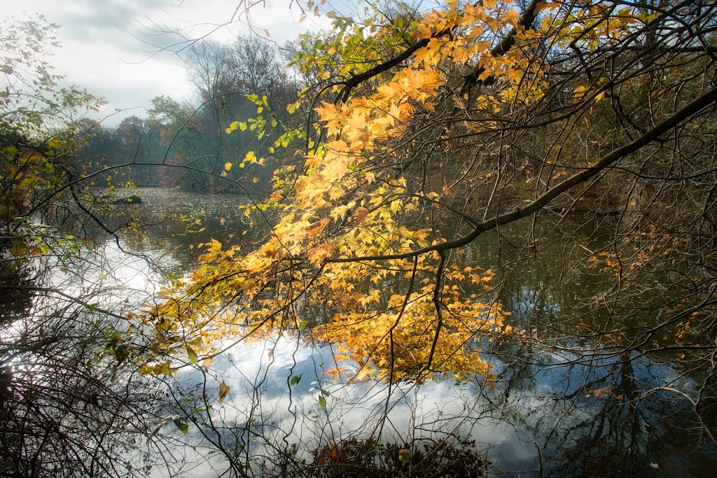 Sheldrake Environmental Center | 685 Weaver St, Larchmont, NY 10538 | Phone: (914) 834-1443