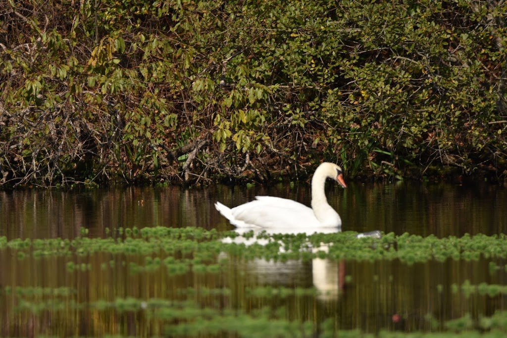 Nassau-Suffolk Greenbelt Trail | Merrick Rd, Massapequa, NY 11758 | Phone: (201) 512-9348