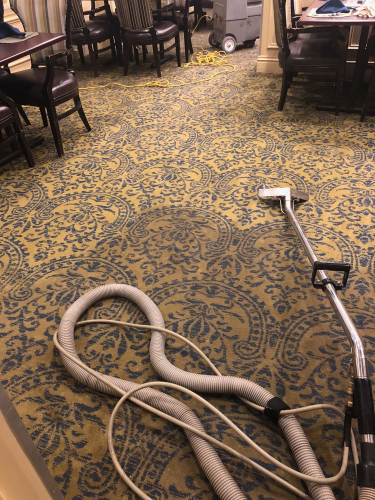 Carpet & Rug Cleaning Service Rye | 131 Purchase St suite 56, Rye, NY 10580 | Phone: (914) 303-9126