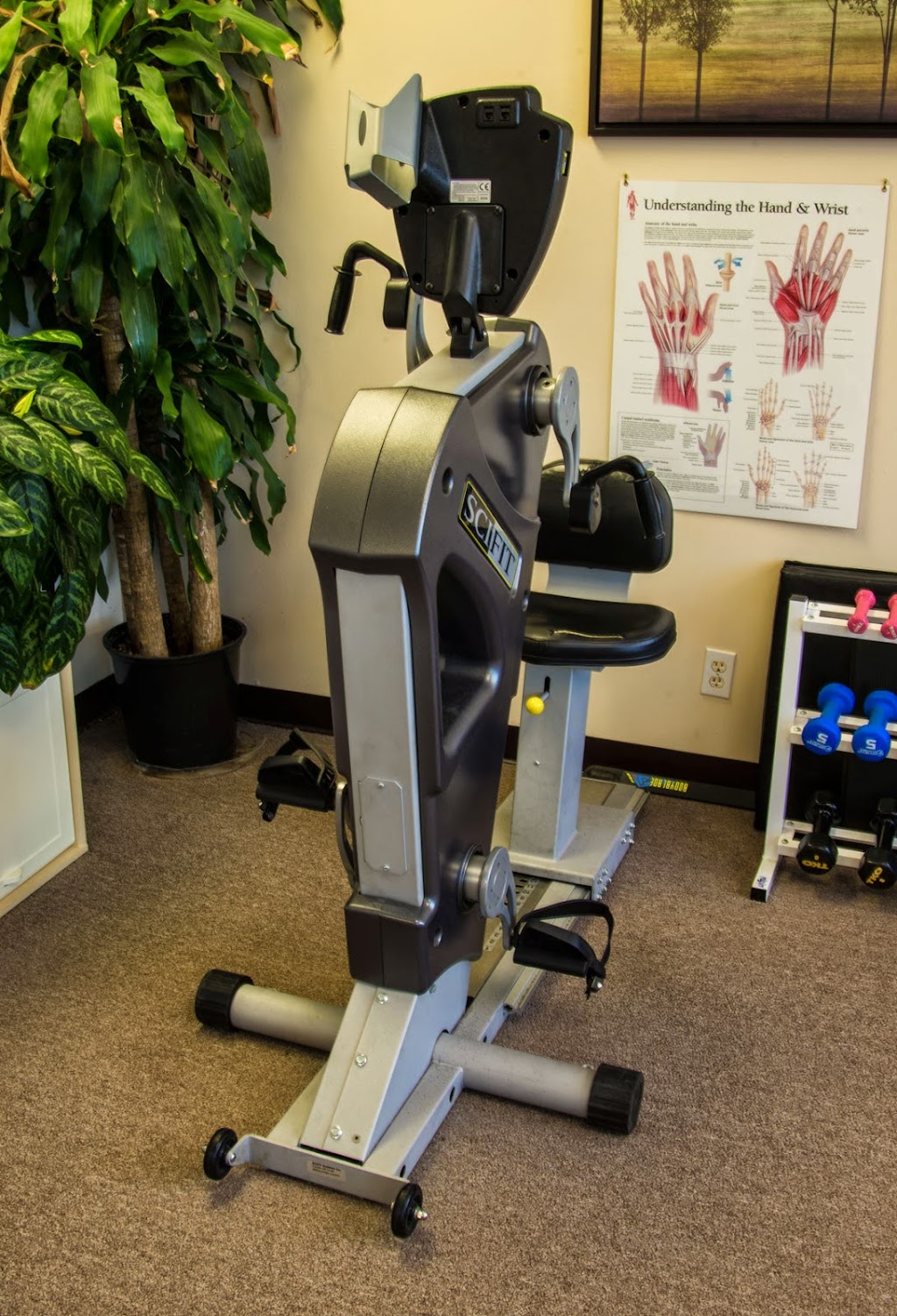 Palermo Physical Therapy | 99 Jericho Turnpike Suite 100, Jericho, NY 11753 | Phone: (516) 280-8044